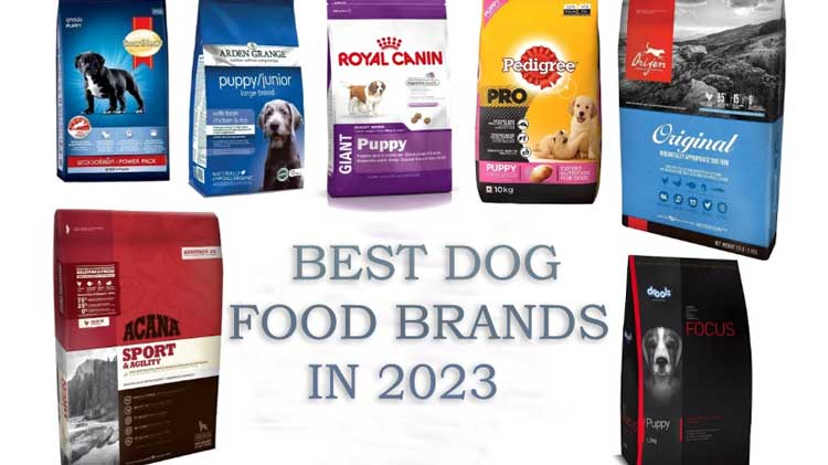 High-quality dog food Brands for an Indian Spitz