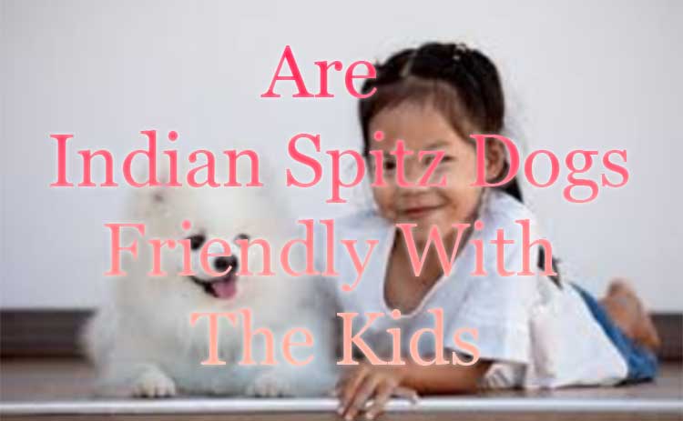 Are Indian Spitz dogs friendly with kids?