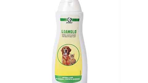AYURVET Dogs Loamglo Shampoo
