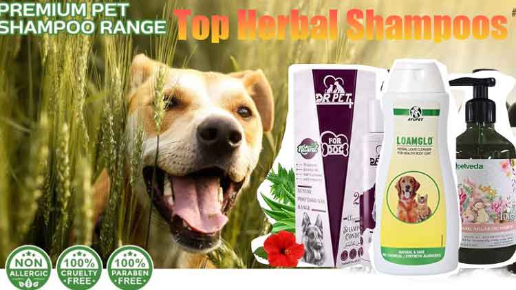 top herbal ayurvedic shampoos for dogs in India