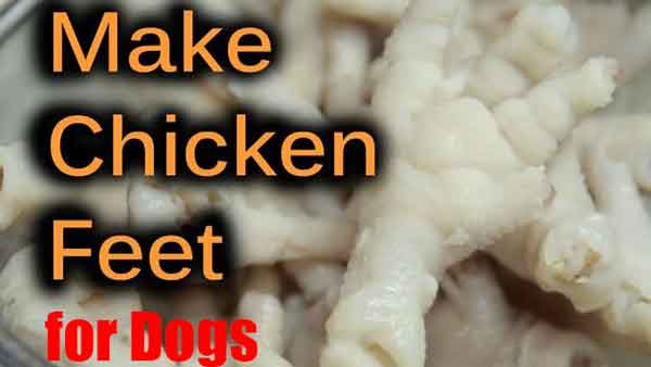 dried chicken for Homemade Dental Chews for Dogs