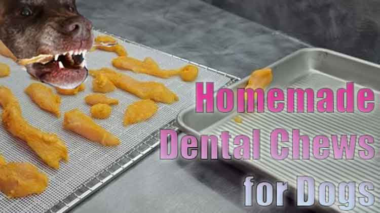 Best Homemade Dental Treats for Dogs