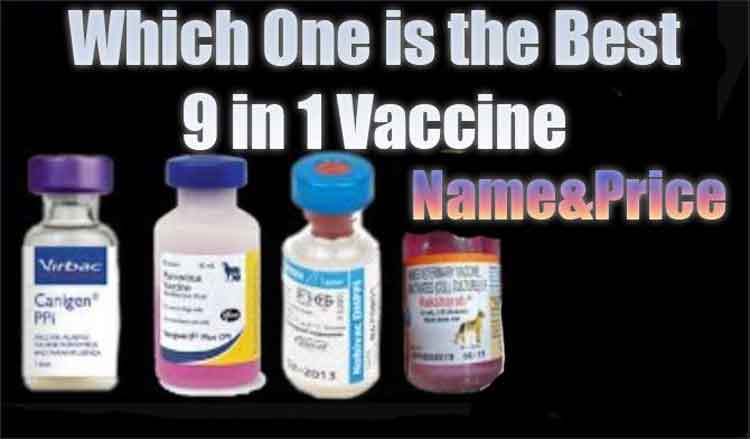 best 9 in 1 vaccine in India name and price