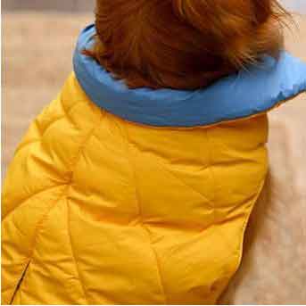 Cozy Pupper Reversible Dog Jacket