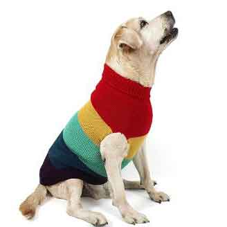 best dog cloths for winter for big dogs