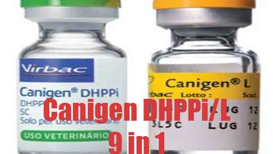 CANIGEN 9 in 1 Vaccine for dogs