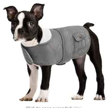 Cocker Premium Cotton Dog Jacket for Winter