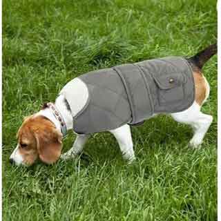 Cocker Premium Cotton Dog Jacket for Winter