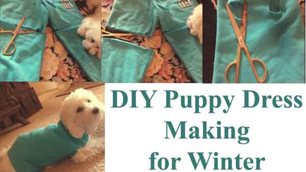 How to Make Puppy Clothes at home without Spending Money(Easiest Way)