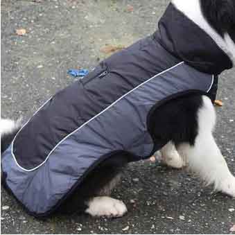 KUTKUT Small Medium Dog Warm Winter Jacket