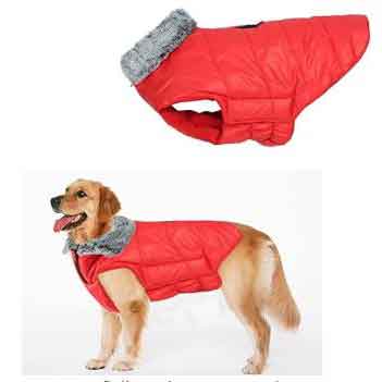 Dog Winter Coat with Fur Collar Light Weight