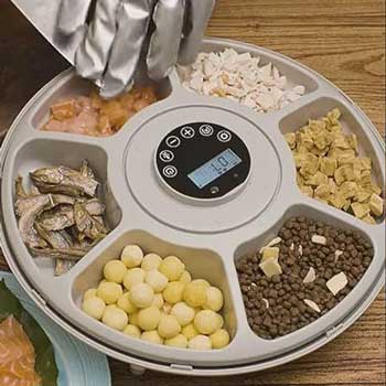 Smiledrive Automatic Pet Feeder for dogs