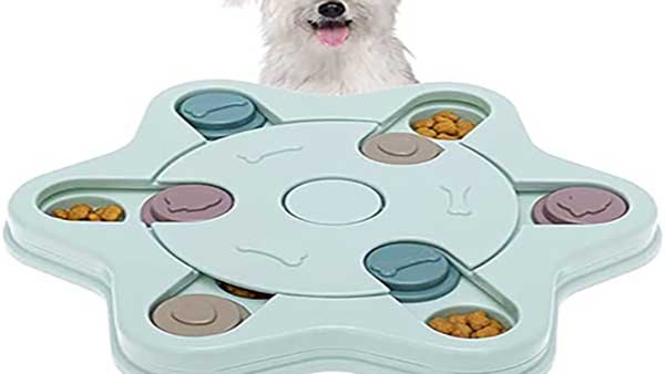 Interactive Toys to Keep Your Dog Mentally Active