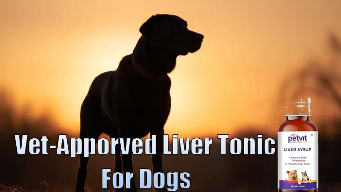 Best Liver Tonic for Dogs in India 2024