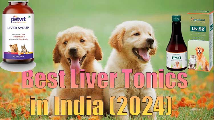 liver tonic syrup for dogs in India