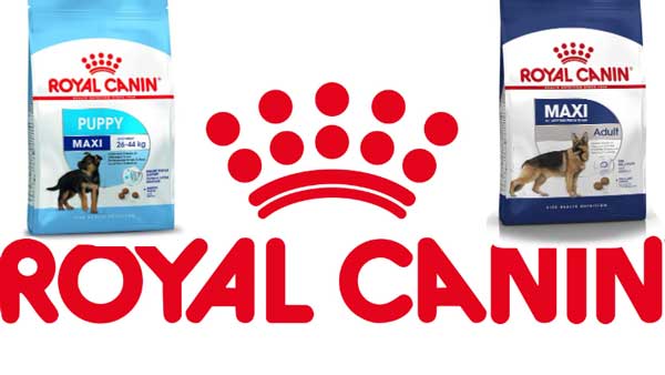 Royal Canin best dog food for pitbulls