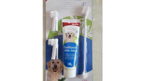 Petted Bioline Dental Care Set for Dogs and Puppies