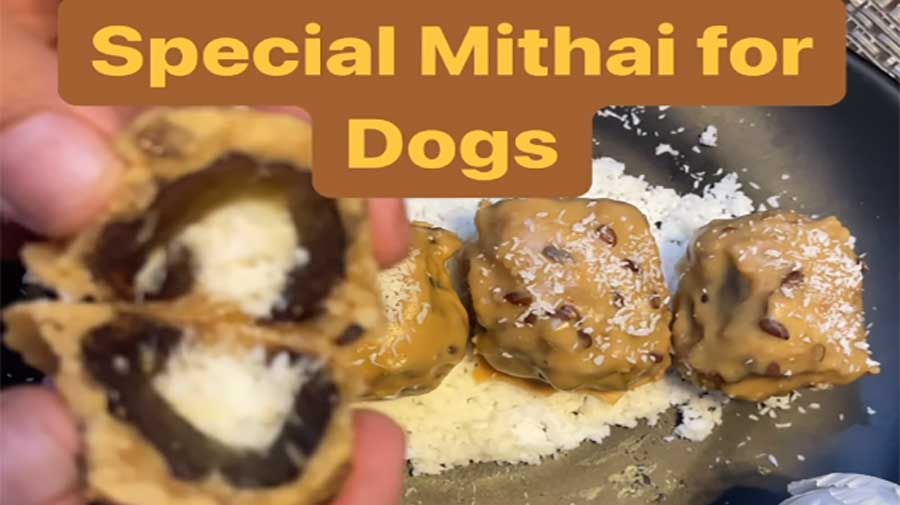 stylish and healthy mithai for dogs
